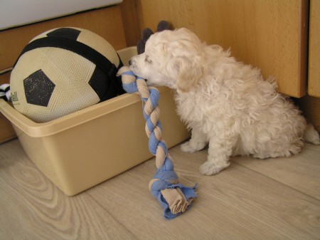 ...BOREAS zatím tahá veliký balon...